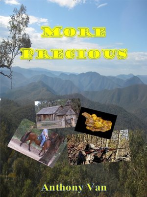 cover image of More Precious